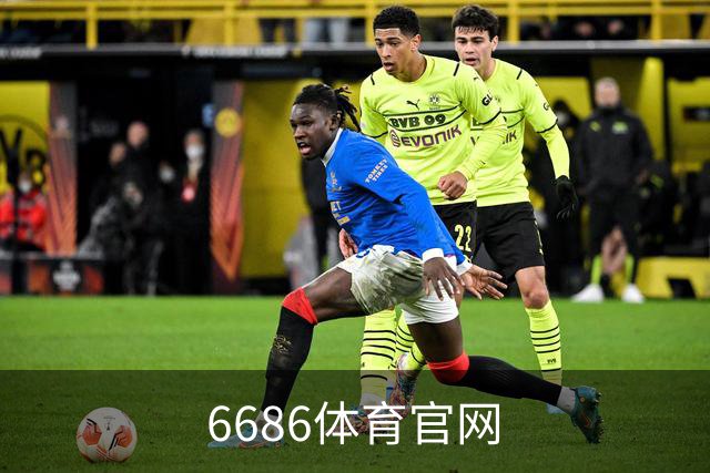 6686体育官网公司简介展示图